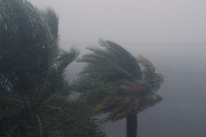 Photo of Hurricane